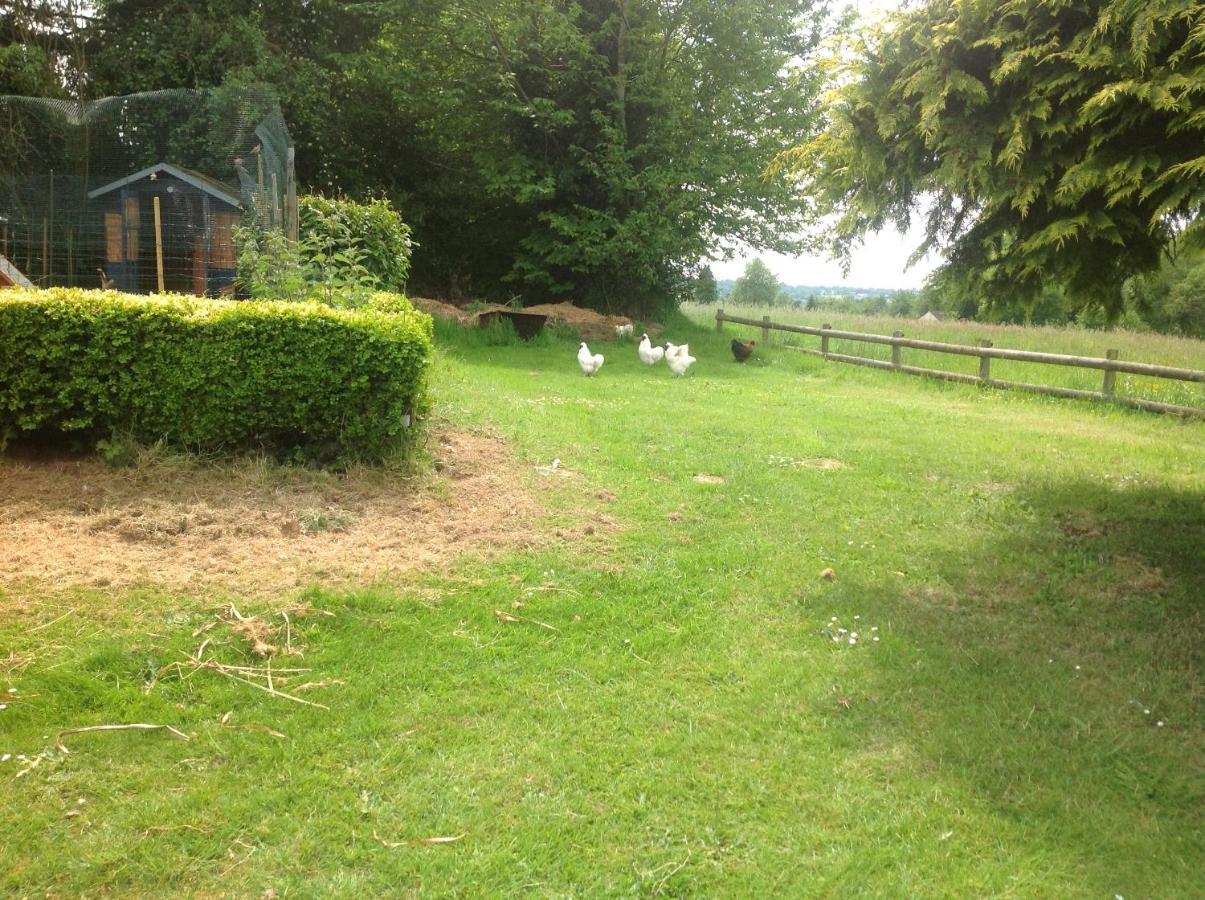 Bed and Breakfast La Ville - Les Petits Champs Buais-les-Monts Exterior foto