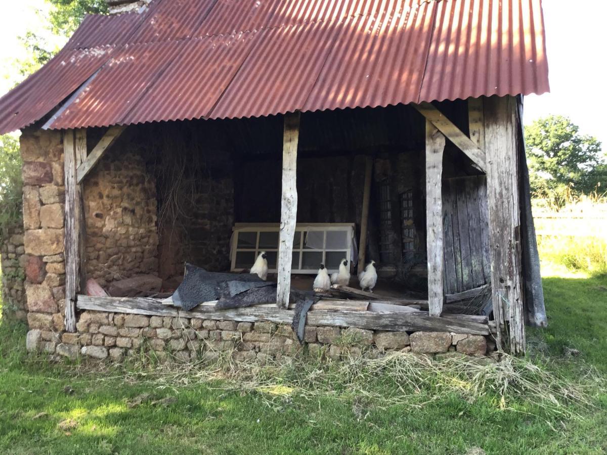 Bed and Breakfast La Ville - Les Petits Champs Buais-les-Monts Exterior foto